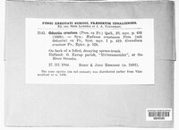 Image Associated With the Occurence